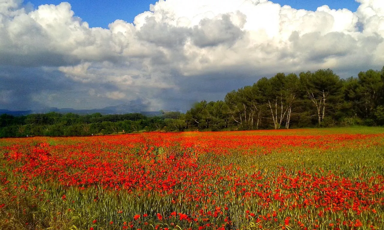Holiday home La Bastide Des Vasses 